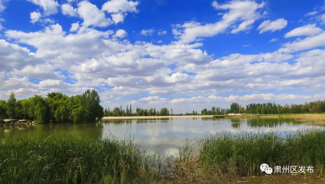 太迷人了！肃州区的这幅生态画卷越绘越美丽！