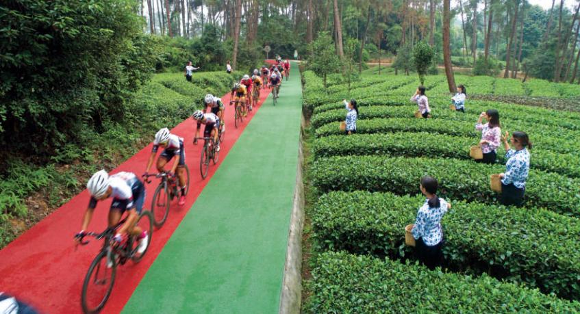 蒲江成佳茶乡绿道,一辆自行车蹬一圈能走多远