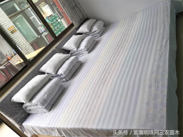 梨木台古树农家院,蓟县梨木台兴业缘农家院