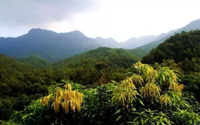 解锁更多惊喜体验,解锁多种体验形式