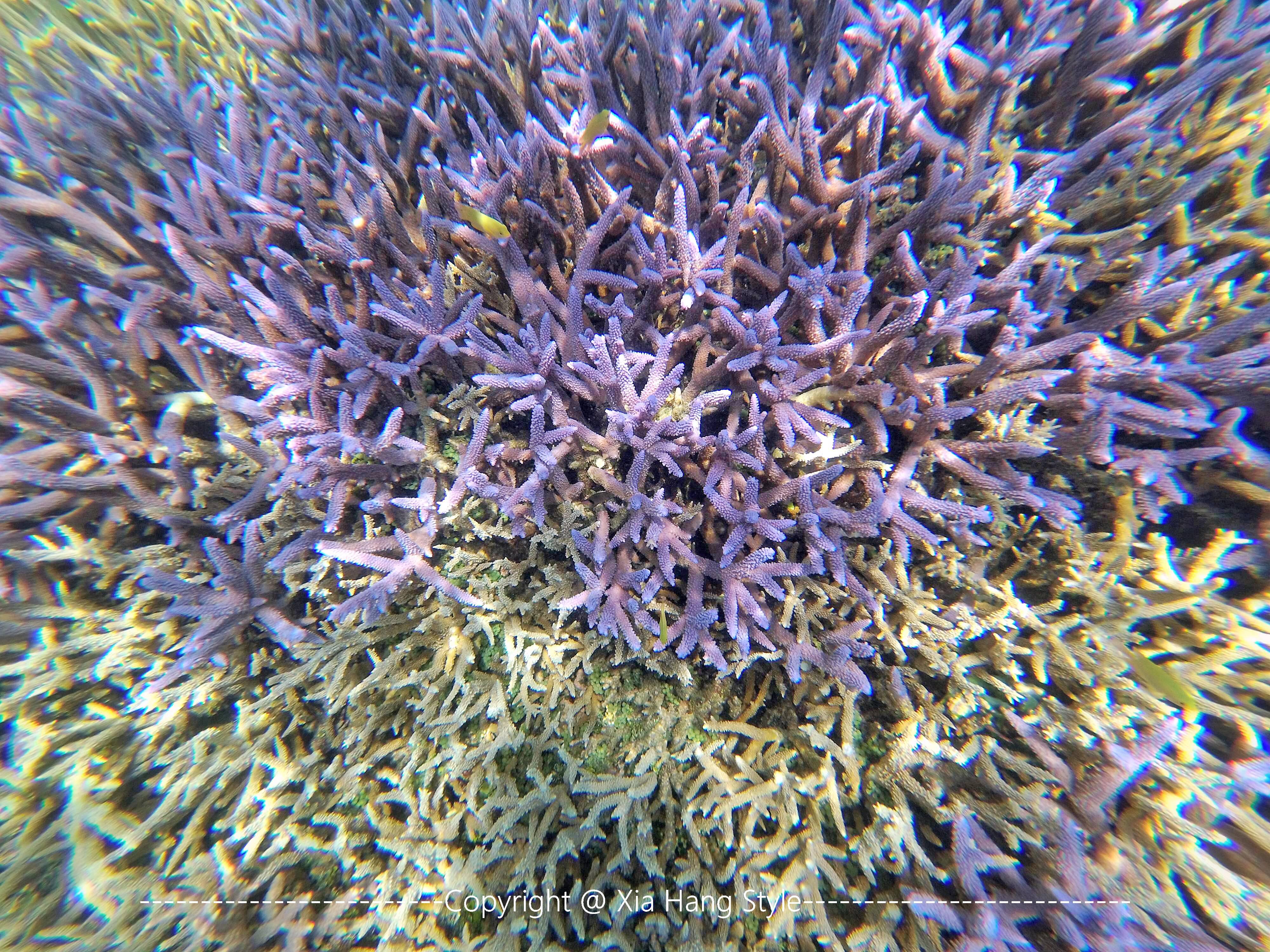 世界上人口最少的岛国，先后被4个国家统治，却是潜水者的天堂