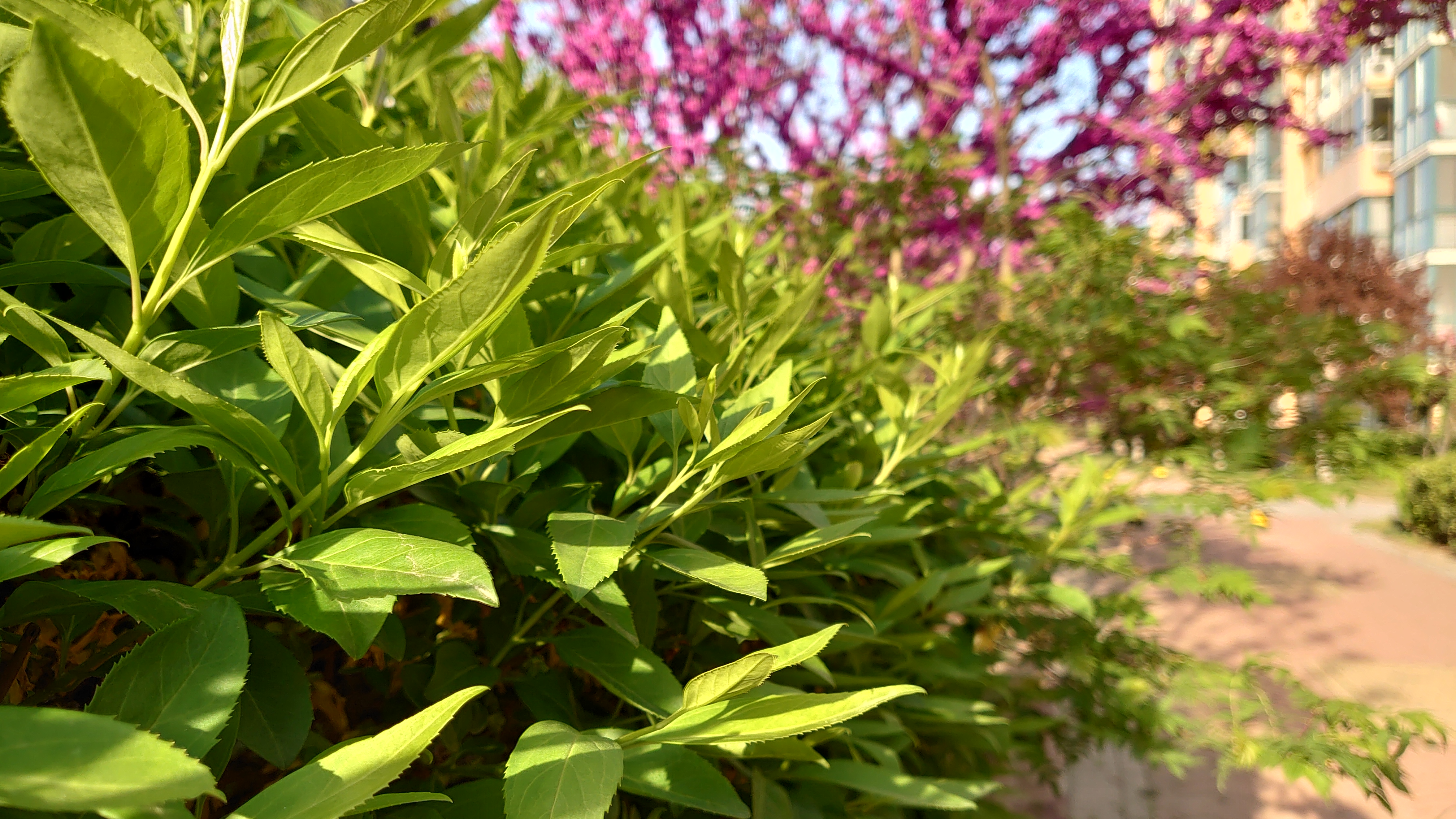 索尼微单手机xperia5i,索尼xperia5ii深度评测