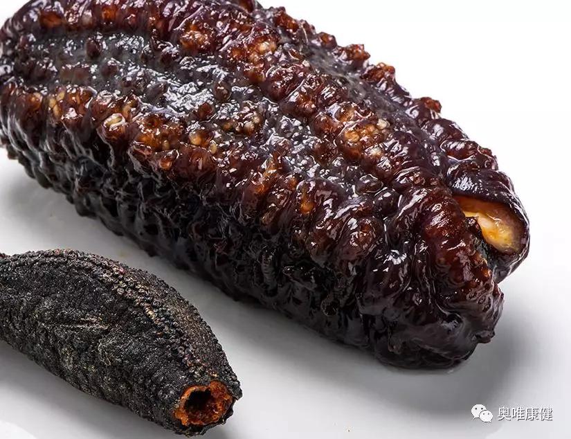 关于海参的资料50字,关于海参的知识讲解类的框架