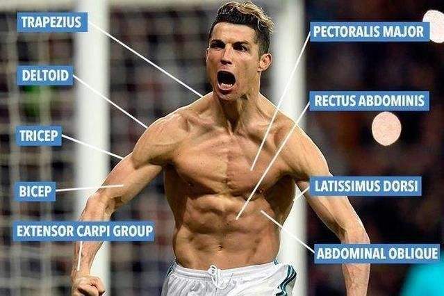 世界杯c罗十大逆天进球,世界杯热门球星c罗照片