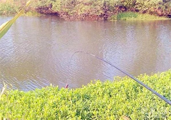 抛竿各种线组及钓法,抛竿钓鱼技巧用什么线组