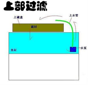 既想造景又想养鱼,鱼缸清洁一杆搞定六种功能