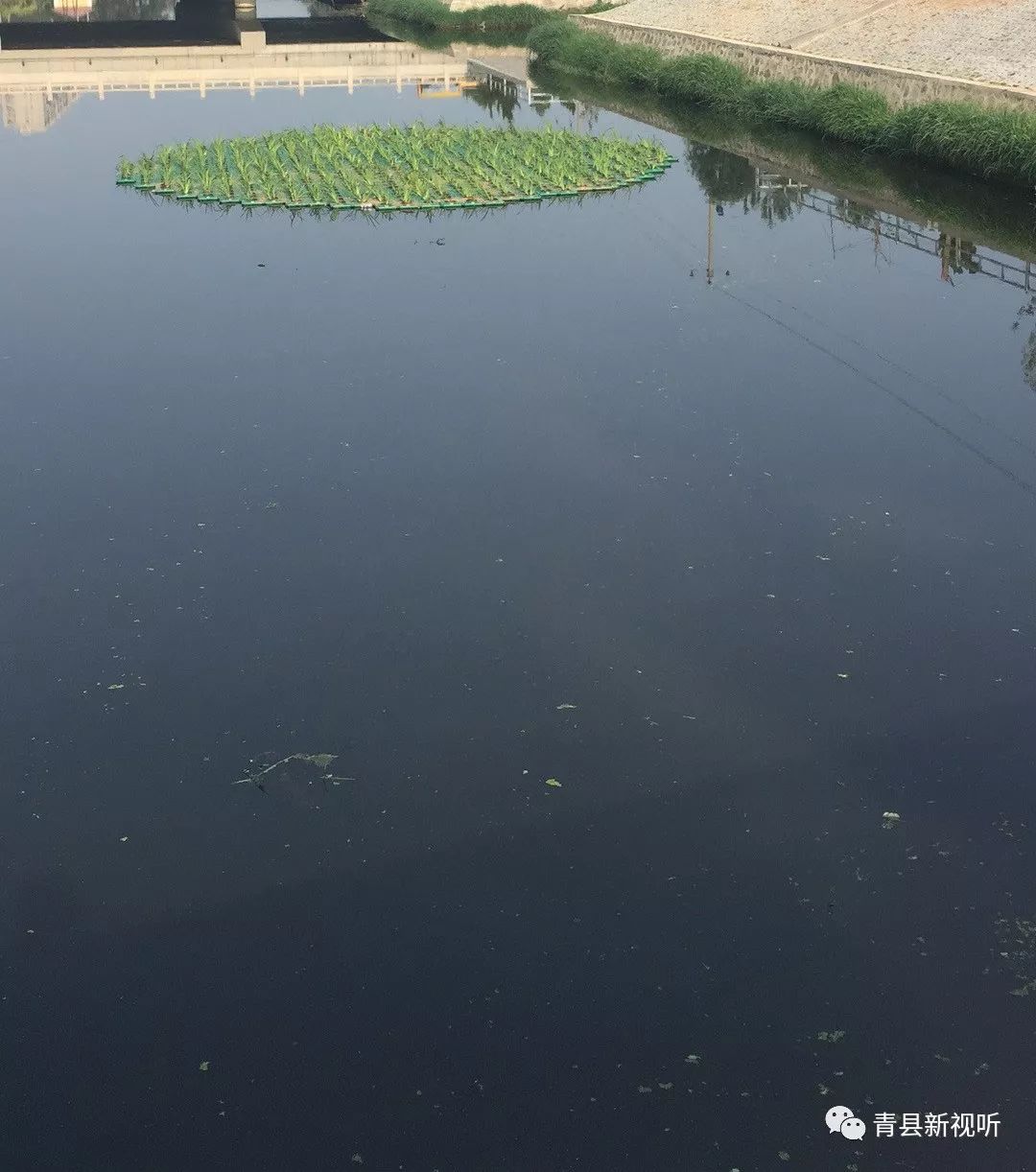 <html>
<head><title>502BadGateway</title></head>
<body>
<center><h1>502BadGateway</h1></center>
<hr><center>nginx</center>
</body>
</html>
<!--apaddingtodisableMSIEandChromefriendlyerrorpage-->
<!--apaddingtodisableMSIEandChromefriendlyerrorpage-->
<!--apaddingtodisableMSIEandChromefriendlyerrorpage-->
<!--apaddingtodisableMSIEandChromefriendlyerrorpage-->
<!--apaddingtodisableMSIEandChromefriendlyerrorpage-->
<!--apaddingtodisableMSIEandChromefriendlyerrorpage-->
