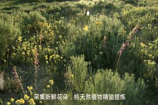 驱蚊手环推荐高颜值女,林允同款水晶手链