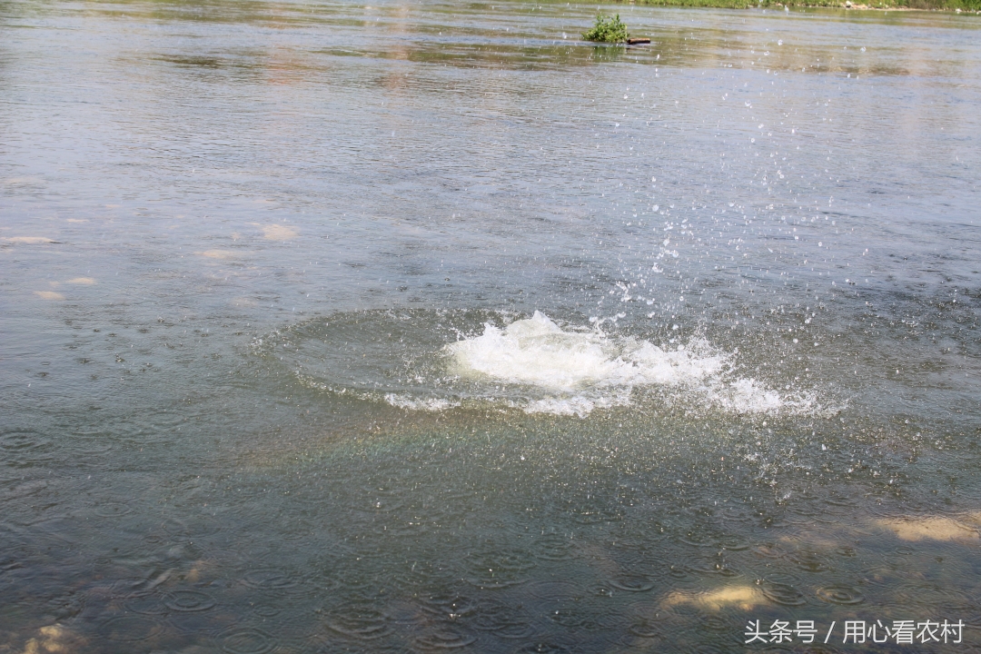 高手在民间弹珠赛道,高手在民间砸场子