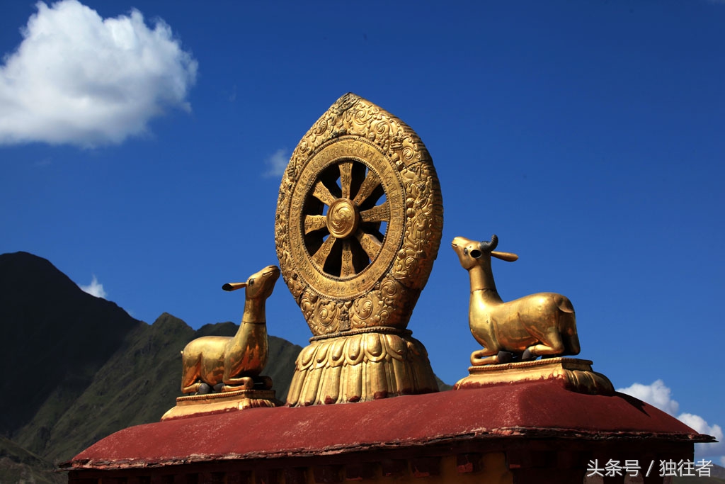 山羊金鹿车轮与千年藏传佛教圣地大昭寺有着怎样的关系