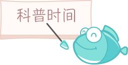 避开这些坑成功瘦身指日可待,避开这十大护肤雷区