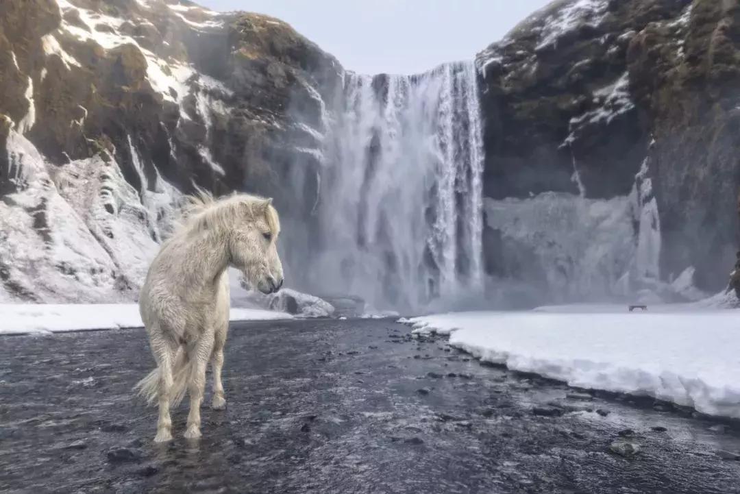 秋季旅行大片,旅行摄影大片有哪些