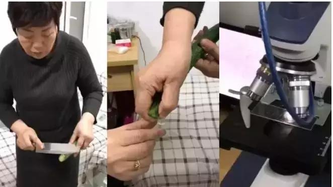 黄瓜中有杀不死的寄生虫，这条谣言你信了吗？挑选黄瓜请注意