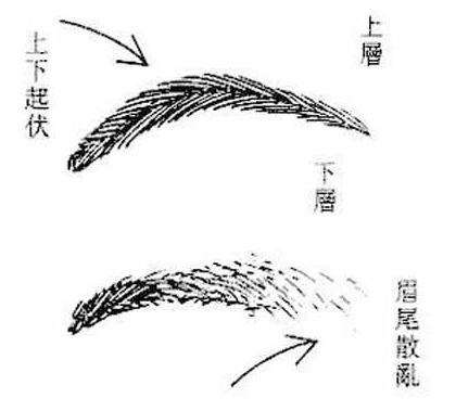 一眉长一眉短的面相,面相看眉毛的讲究