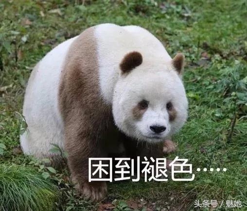 便宜超好用的六款眼霜,推荐几款小众好用的眼霜