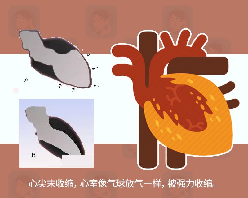 世界杯马拉多纳痛哭,马拉多纳败走世界杯