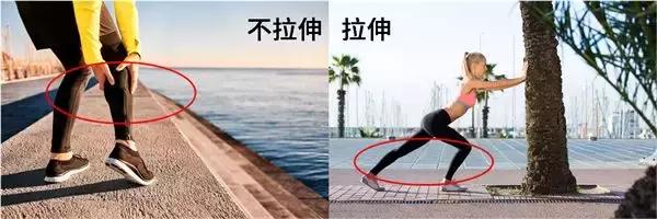 什么样的肌肉腿才好看,粗腿都有什么腿型