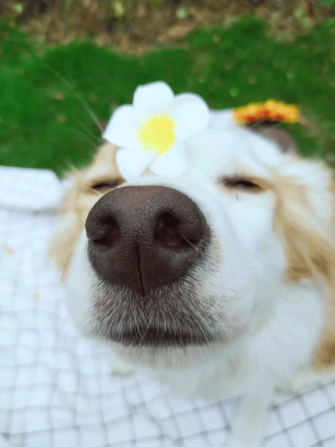 美图手机拍照对比,美图手机最新拍照最好的一款