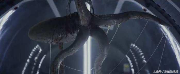 异形大战铁血战士进化史,异形起源异形进化史