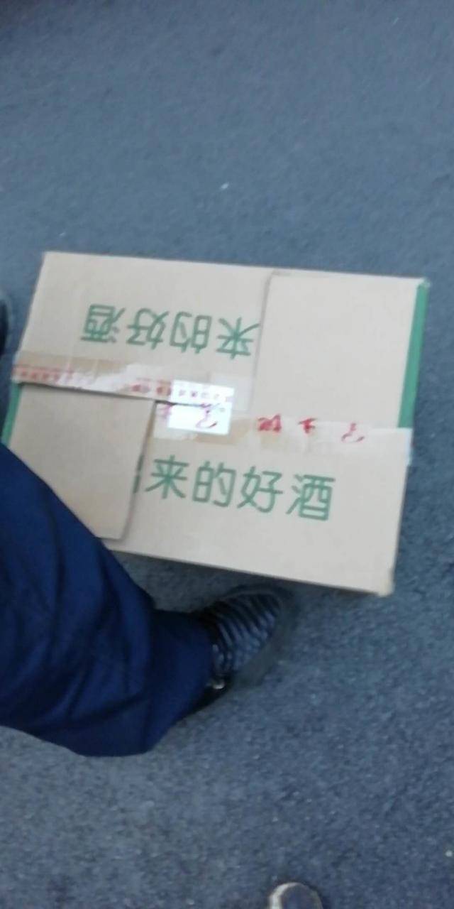 本溪路边发现蛇,本溪蛇事件