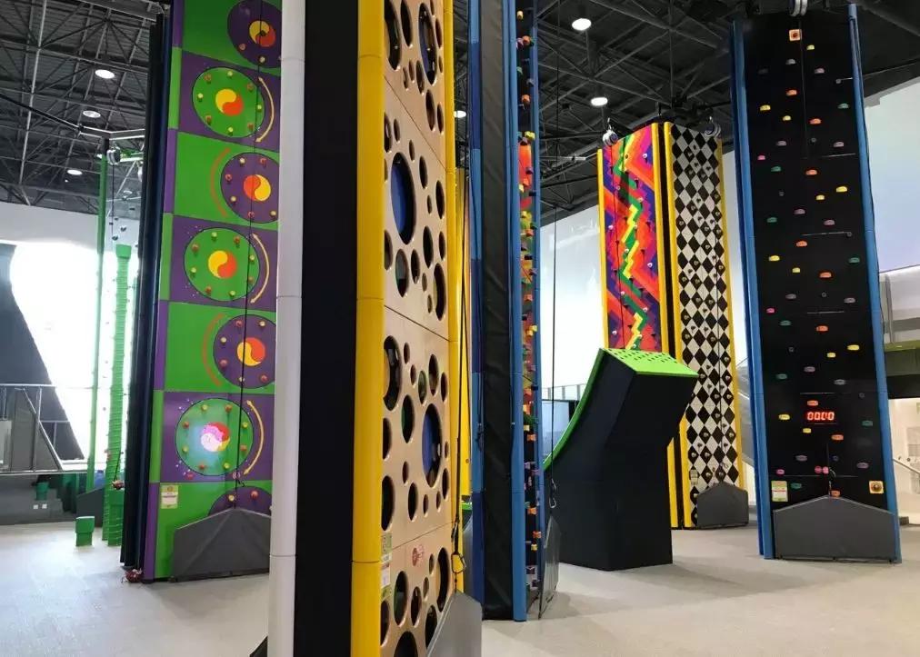 全球只有中国才有的动物,全球唯一的动物