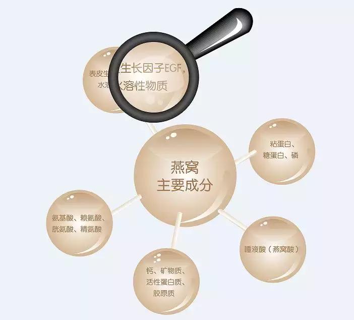 顶级金丝燕的燕窝,天然的官燕燕窝一般在哪里买