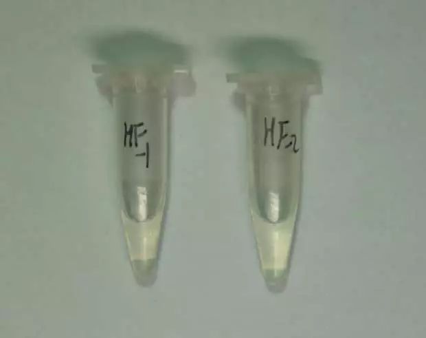 禁毒基础知识文件,国家相关禁毒的法律法规20字