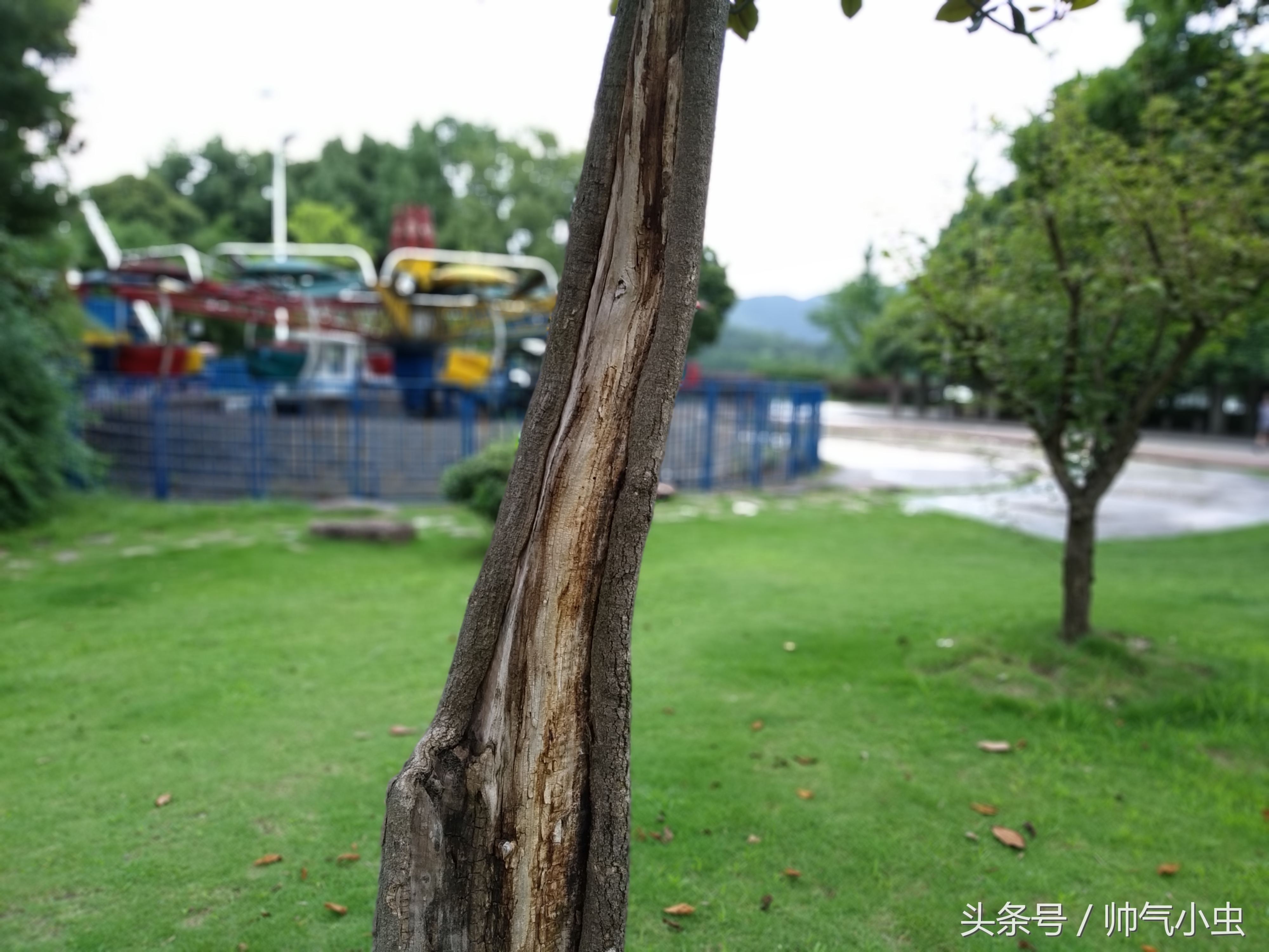 小米红米6pro全面屏手机,红米6pro吃鸡效果