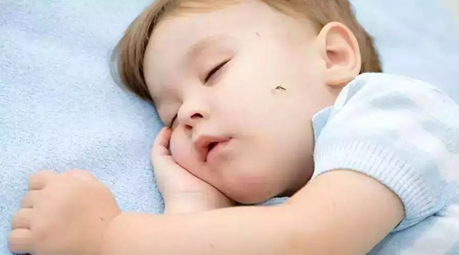 宝妈给宝宝用电蚊液吗,不要给宝宝用含薄荷脑的东西