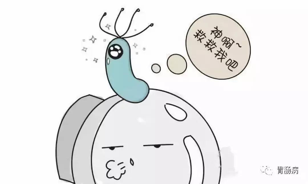 幽门螺旋杆菌患者自述,幽门螺杆菌的基础实验