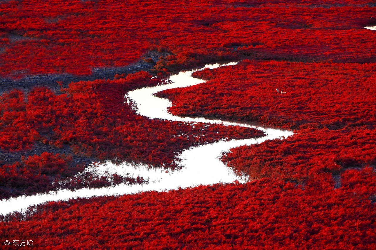盘锦鼎翔旅游景区,辽宁盘锦旅游景区集锦