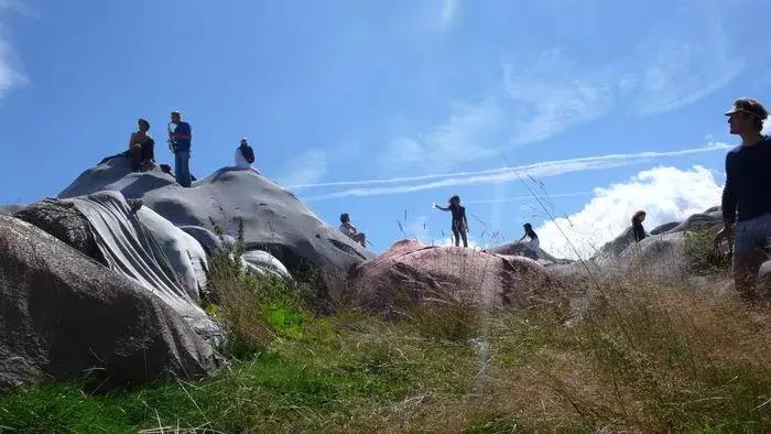 三观毁｜这个位于荷兰鹿特丹的博物馆，居然进屎了!!