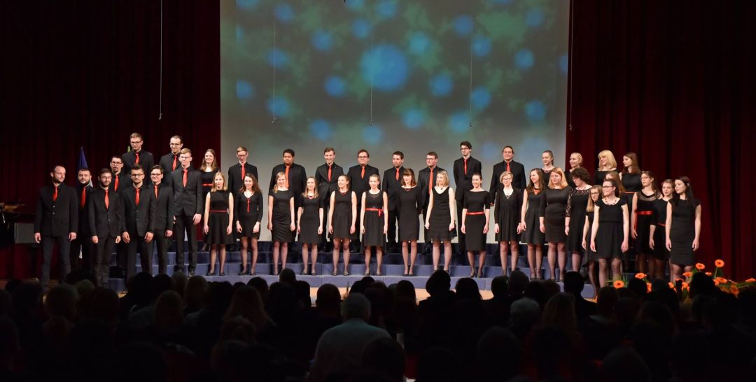 「预告」乐如夏花，让我们走进唱片里的世界