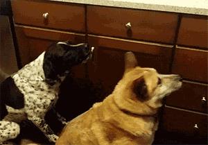 千万不要赌球,千万别赌球