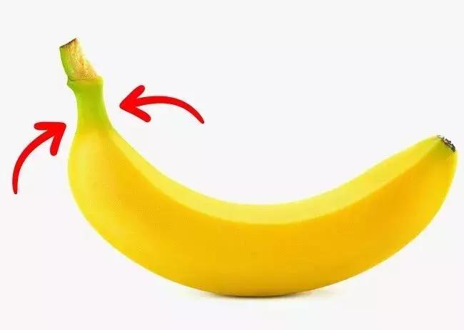 哈利波特全球十大冷知识,全球十大旅游冷知识