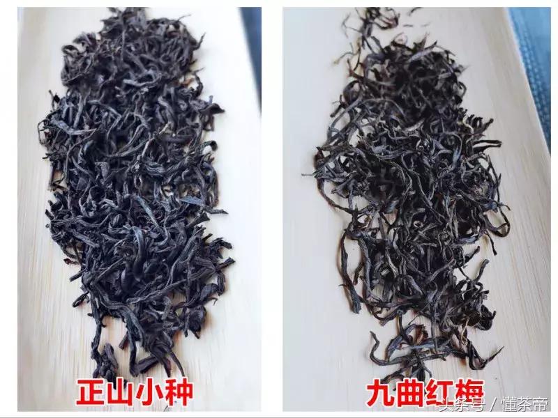 正山小种红茶特细,九曲红梅茶祁门红茶正山小种