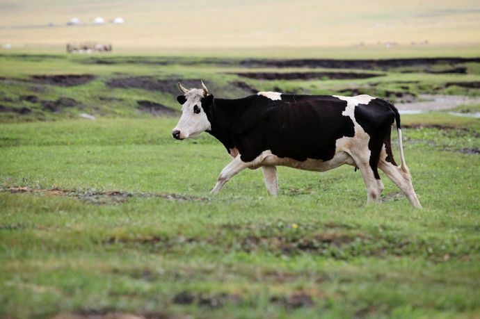 怎么拍摄快速运动物体,运动物体怎么拍摄视频