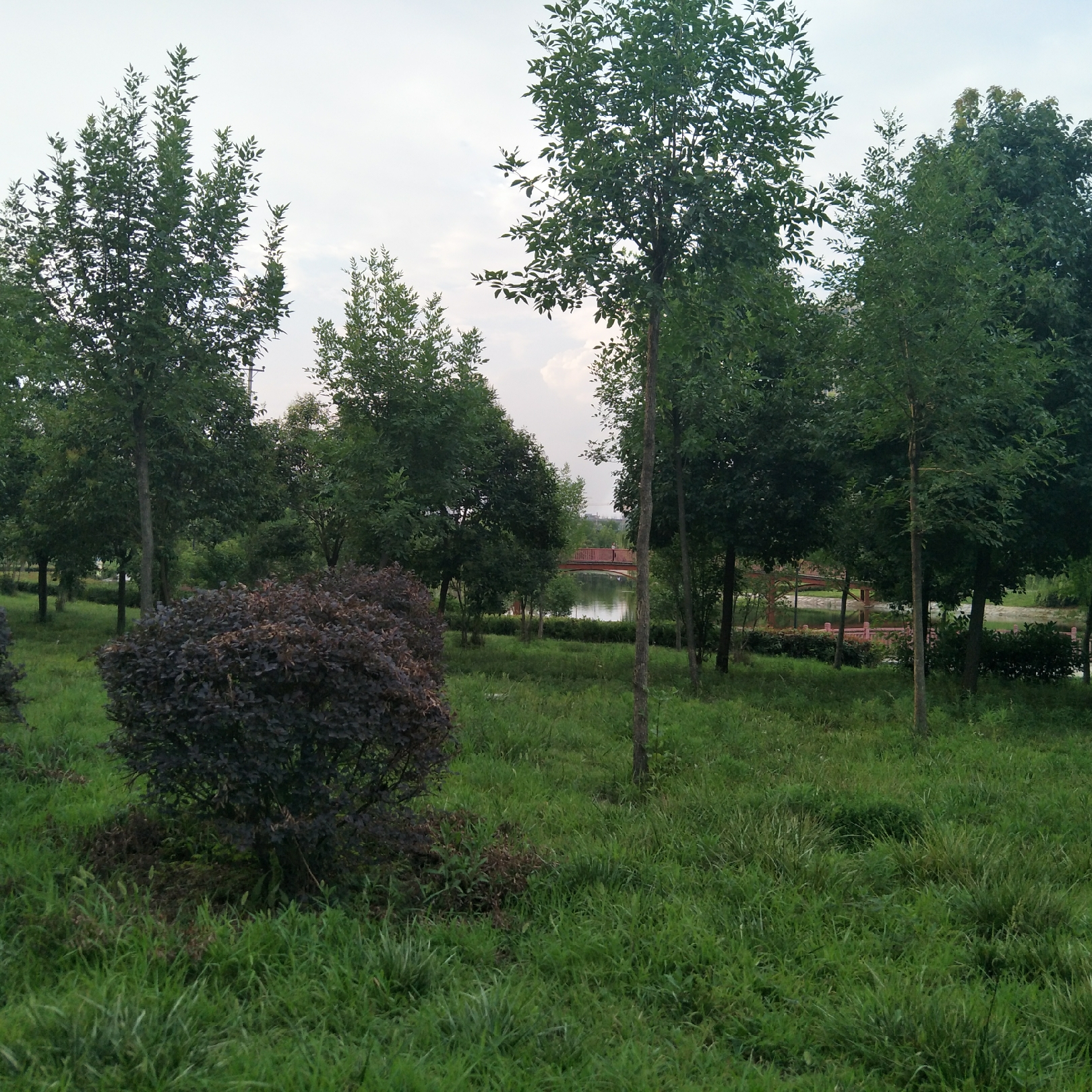 新蔡一个五湖环绕的生态水城,新蔡生态水城宣传片