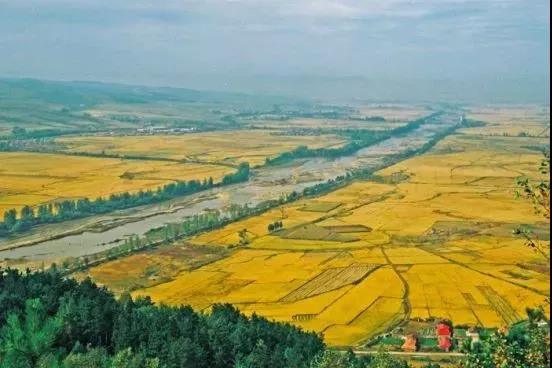 延边龙井东盛涌视频,延边东盛涌山景