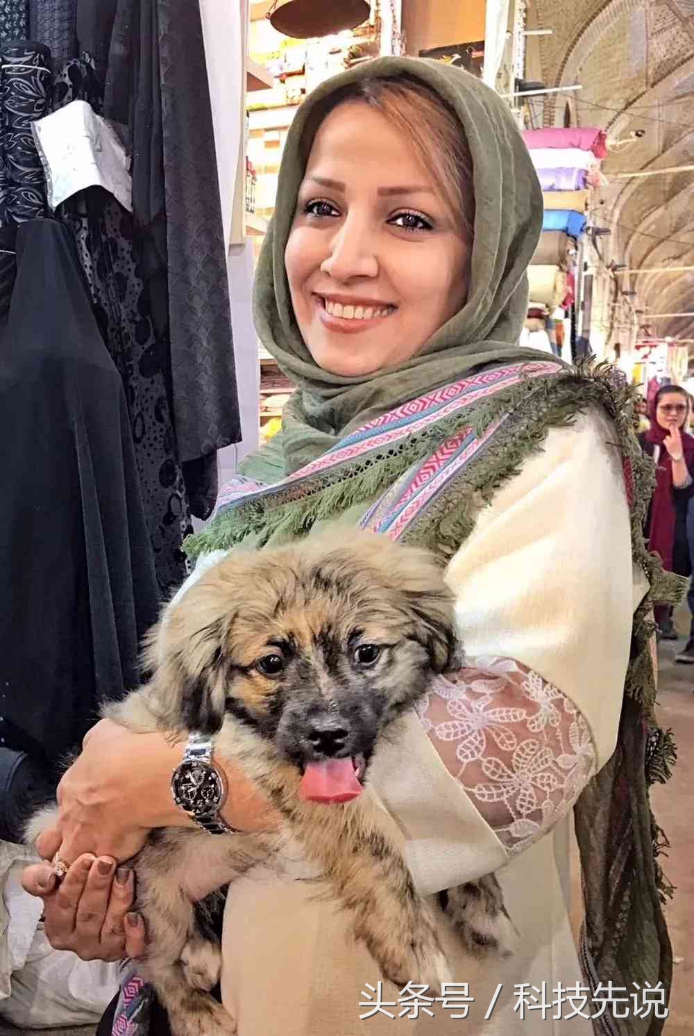 2019年伊朗女球迷,最惊艳的伊朗女球迷