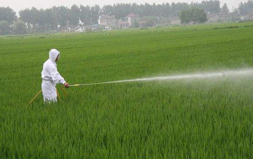 高温天气如何打药,夏季高温打药的技巧
