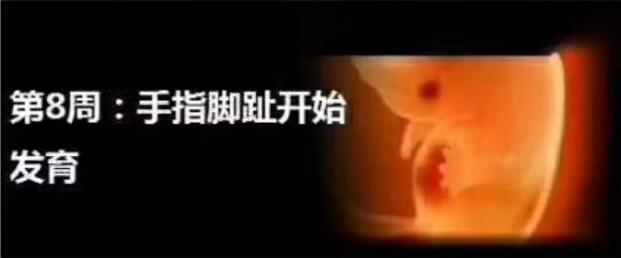 养出漂亮宝宝,养出聪明娃的技巧