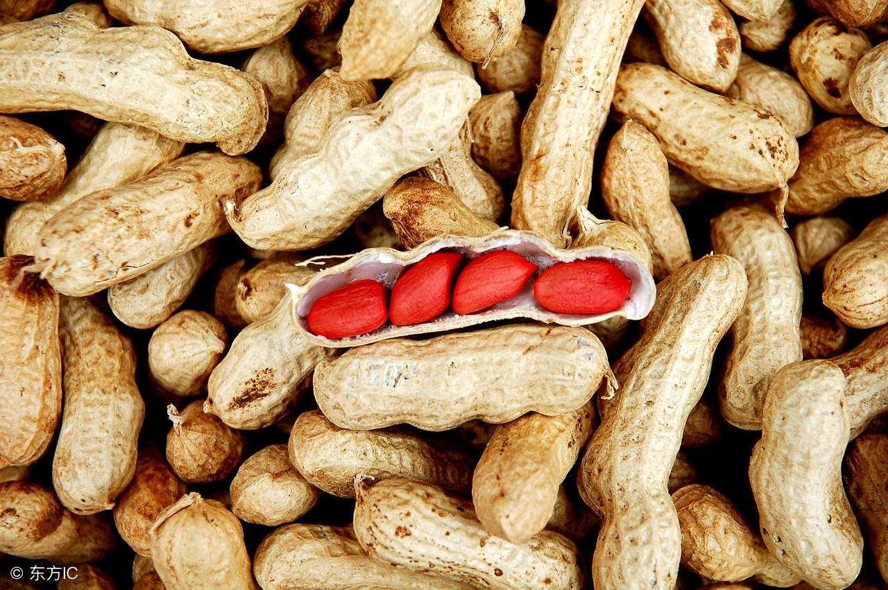 每天一壶补血养颜汤,女人就得活的漂亮完整版