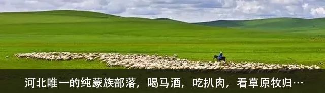 云顶草原花海,驼梁云顶草原风景