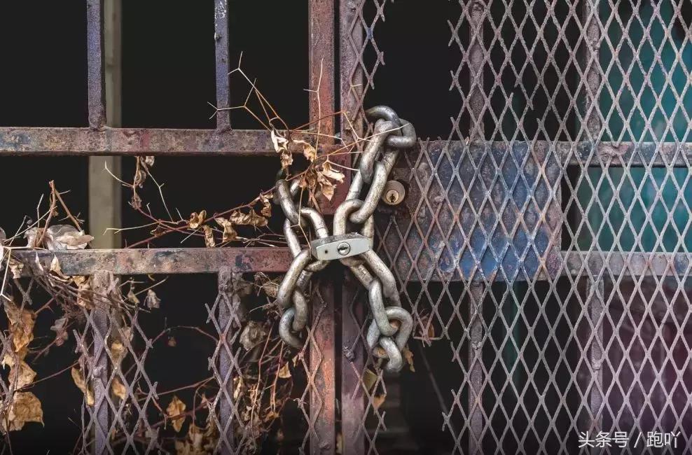 单次世界杯进球最多的国家,世界杯单场进球最多的国家