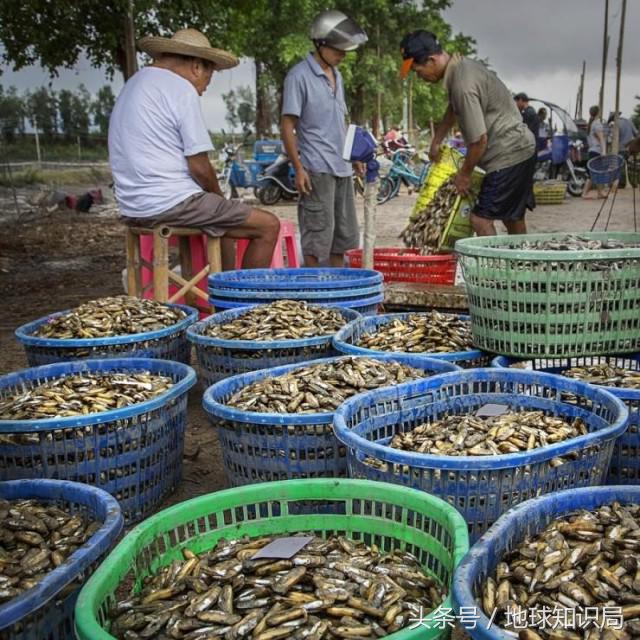 福建为什么那么多地名,福建广东浙江地理位置