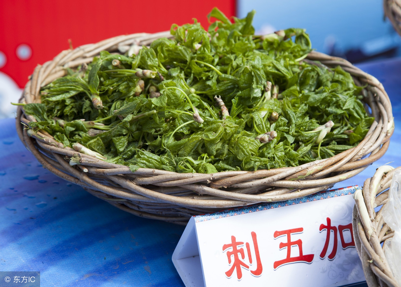 李时珍本草里蕴含不生病的智慧,李时珍称哪味药材为金不换