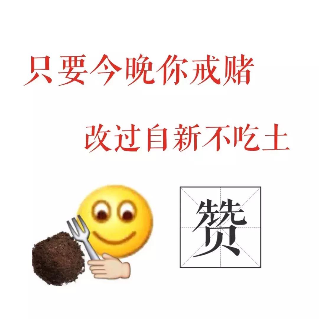 十亿赌约的真相揭秘,30秒爆料黑幕