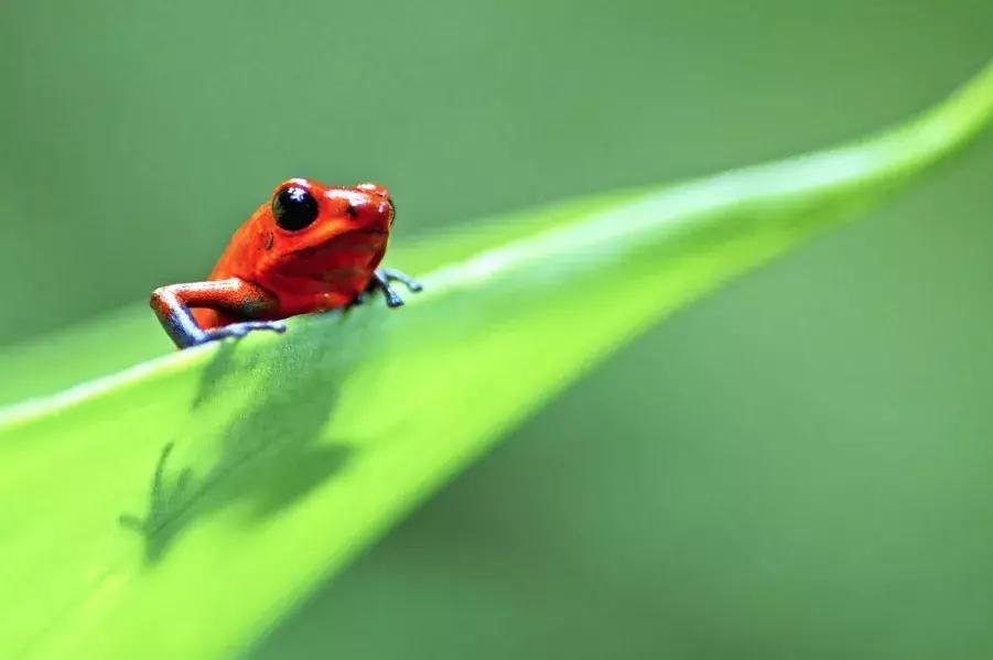 探索自然的纪录片推荐,七部神级自然纪录片你看过几部