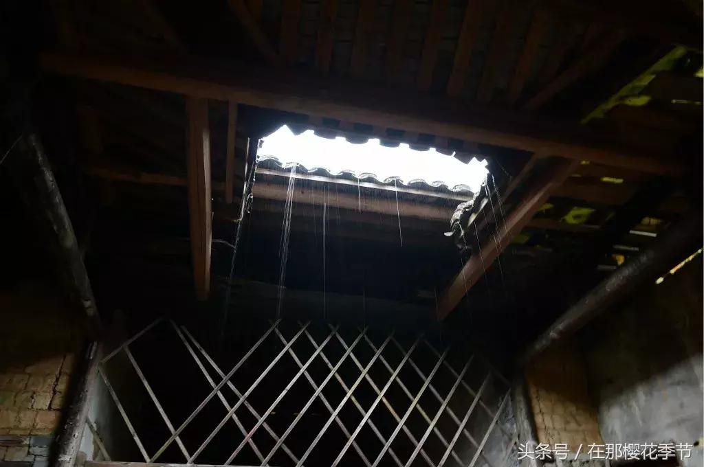 你知道香港人喝的水从哪里来的吗 (香港人喝的水都是来自哪里)